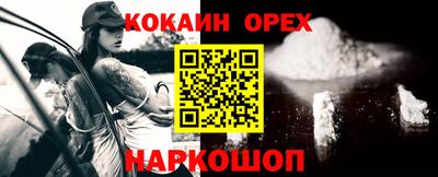 прущие грибы Кандалакша