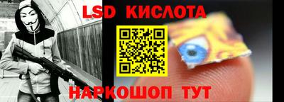 прущие грибы Кандалакша