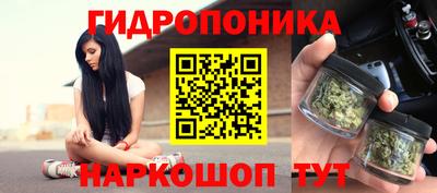 прущие грибы Кандалакша