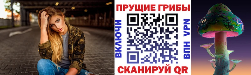Псилоцибиновые грибы GOLDEN TEACHER  Ленинск-Кузнецкий 